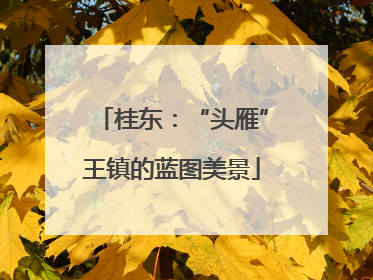 桂东：“头雁”王镇的蓝图美景